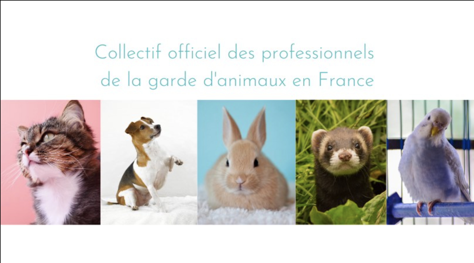 Collectif officiel des professionnels de la garde d'animaux en France