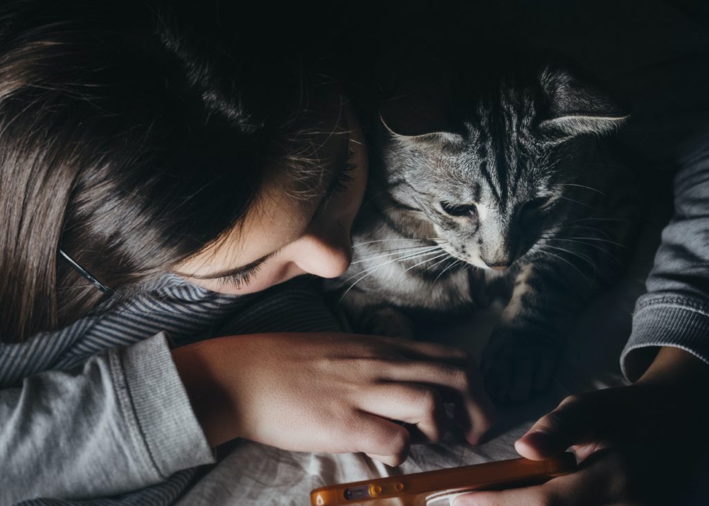 Enfant et chat en train de regarder un écran de smartphone