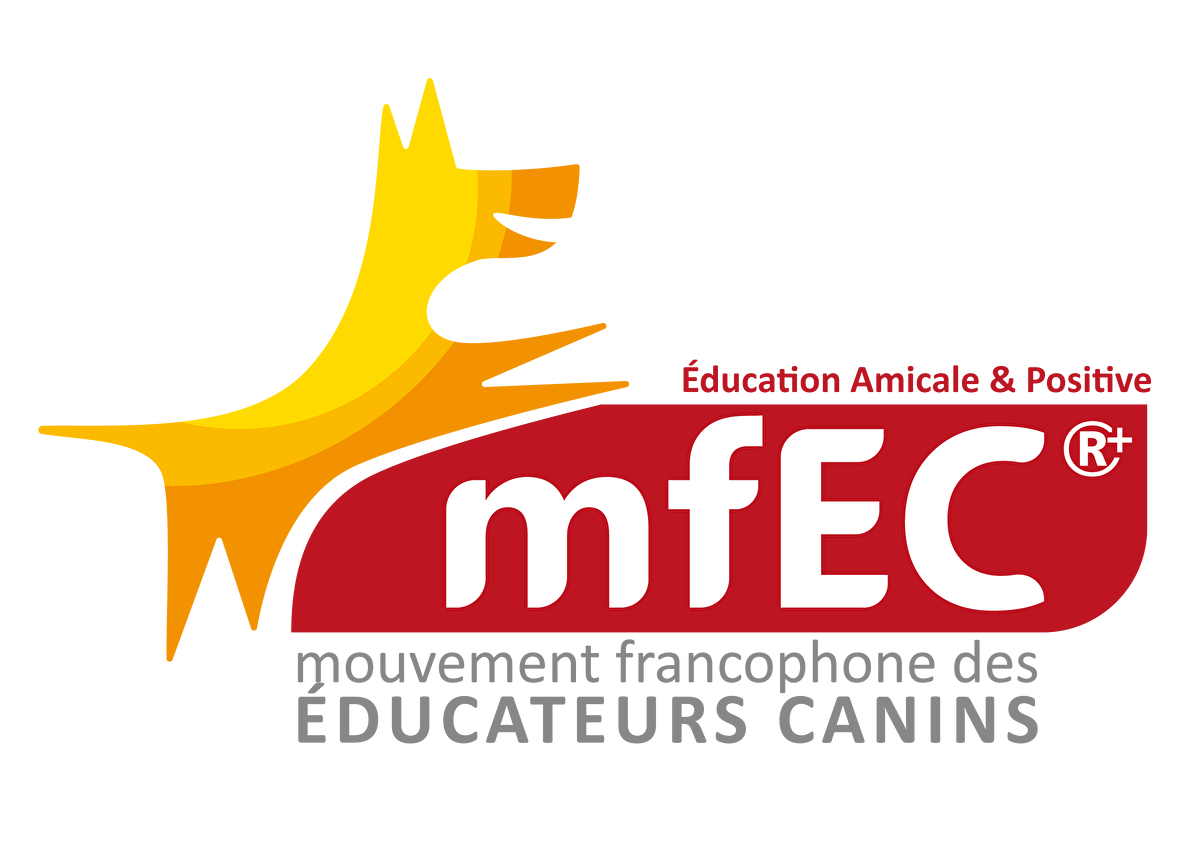 Logo-MFEC